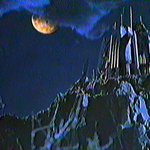 免费观看调教网
