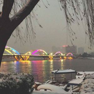 免费观看调教网
